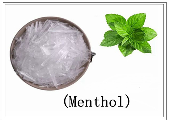 Menthol Crystal for Sale Natural Exporter of 100% Pure Aromatherapy 99% Pure Natural Flavour &amp; Fragrances Menthol Bold T