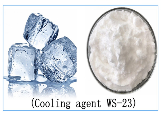 Cooling Agent WS23 Cooling Agent-23 Cooling Agent WS-23 Cooler 23(WS-23) CAS 51115-67-4