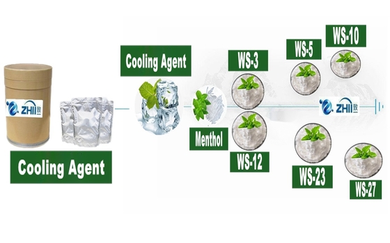 Cooling Agent Ws 23 for Cooling Agent Electric Liquid Food Additive for Menthol Cooling Additive Material Cooling Agent