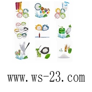 cooling agent ws 23 ;N,2,3-Trimethyl-2-isopropylbutanamide CAS: 51115-67-4